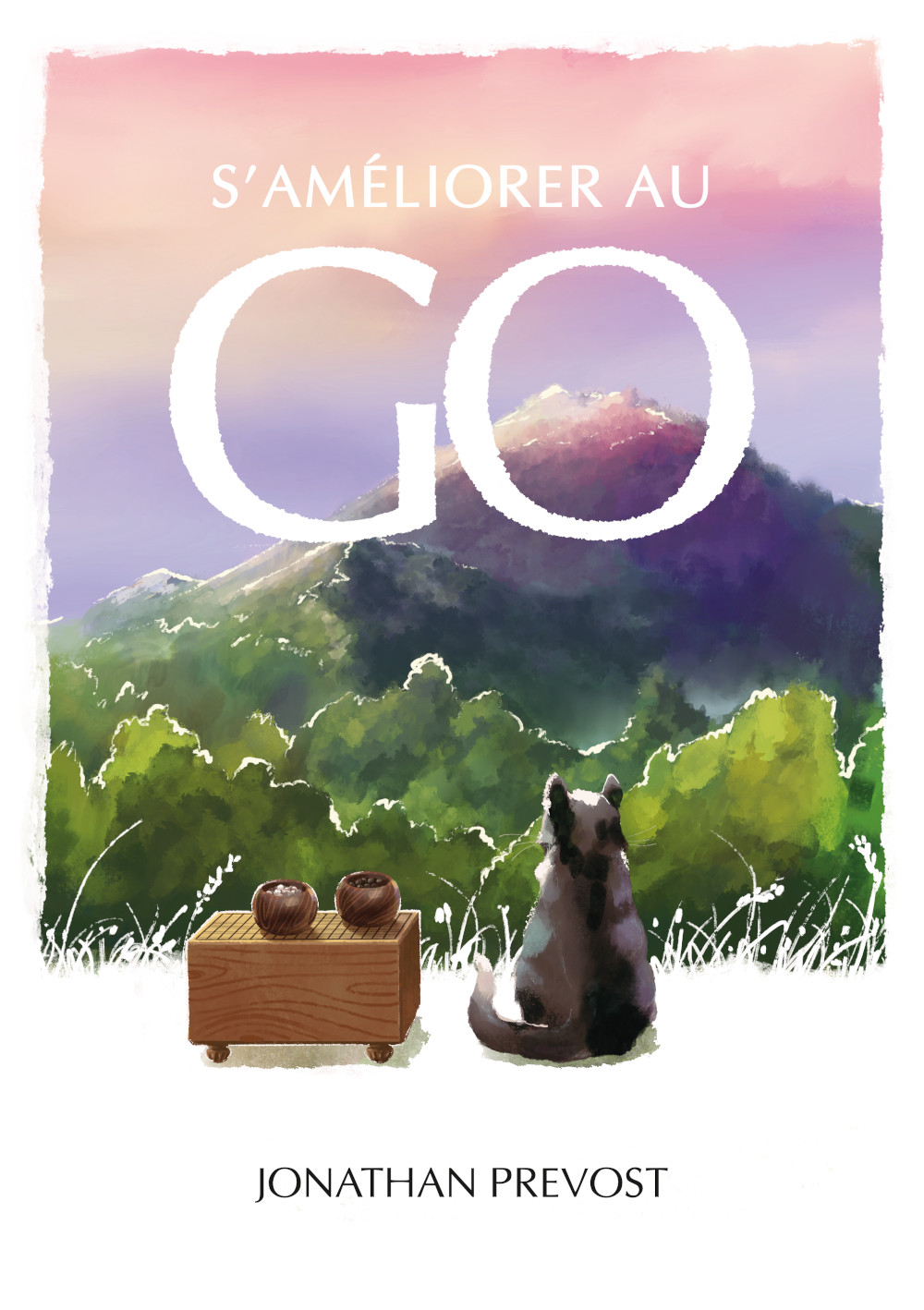 S’améliorer au go